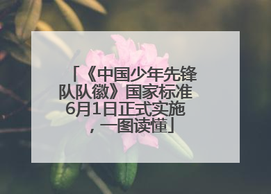 《中国少年先锋队队徽》国家标准6月1日正式实施，一图读懂