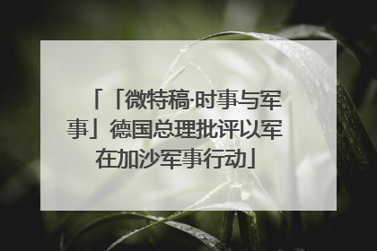 「微特稿·时事与军事」德国总理批评以军在加沙军事行动