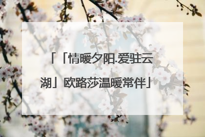「情暖夕阳.爱驻云湖」欧路莎温暖常伴