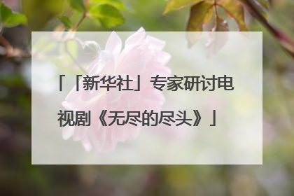 「新华社」专家研讨电视剧《无尽的尽头》