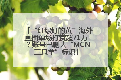 “红绿灯的黄”海外直播单场打赏超71万？账号已删去“MCN三只羊”标识