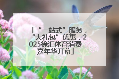 “一站式”服务，“大礼包”优惠，2025徐汇体育消费嘉年华开幕