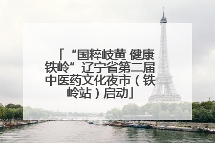 “国粹岐黄 健康铁岭”辽宁省第二届中医药文化夜市（铁岭站）启动