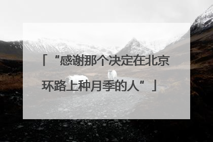 “感谢那个决定在北京环路上种月季的人”