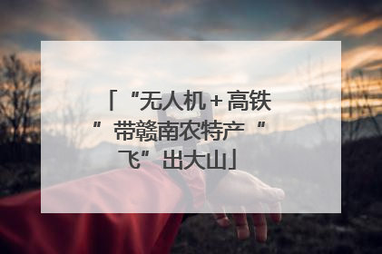 “无人机＋高铁”带赣南农特产“飞”出大山