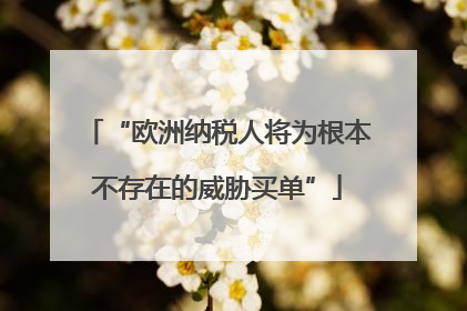 “欧洲纳税人将为根本不存在的威胁买单”