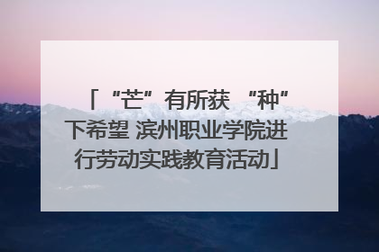“芒”有所获 “种”下希望 滨州职业学院进行劳动实践教育活动