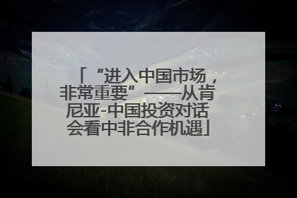 “进入中国市场,非常重要”——从肯尼亚-中国投资对话会看中非合作机遇