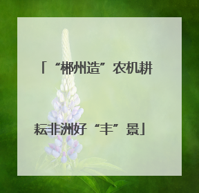“郴州造”农机耕耘非洲好“丰”景