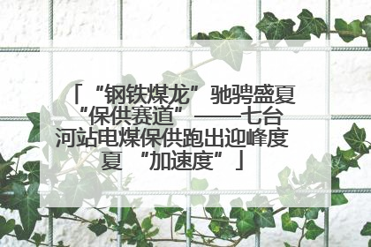 “钢铁煤龙”驰骋盛夏 “保供赛道”——七台河站电煤保供跑出迎峰度夏 “加速度”