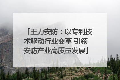 王力安防：以专利技术驱动行业变革 引领安防产业高质量发展