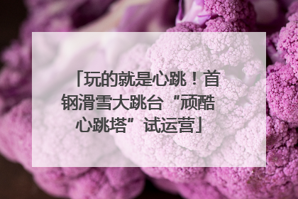 玩的就是心跳！首钢滑雪大跳台“顽酷心跳塔”试运营