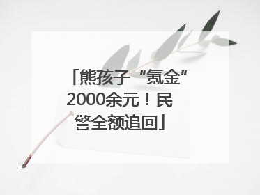 熊孩子“氪金”2000余元！民警全额追回