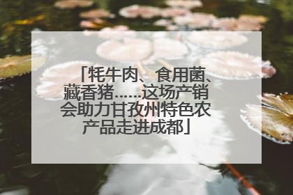 牦牛肉、食用菌、藏香猪……这场产销会助力甘孜州特色农产品走进成都