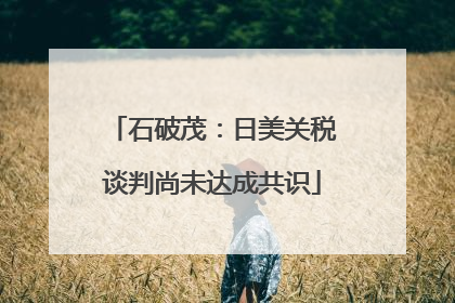 石破茂：日美关税谈判尚未达成共识