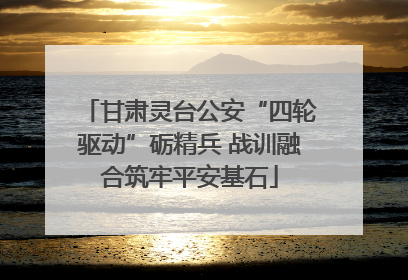 甘肃灵台公安“四轮驱动”砺精兵 战训融合筑牢平安基石