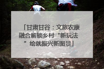 甘肃甘谷：文旅农康融合解锁乡村“新玩法”绘就振兴新图景
