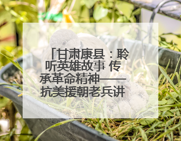 甘肃康县：聆听英雄故事 传承革命精神——抗美援朝老兵讲故事进军营