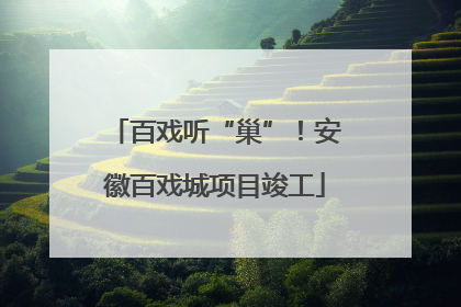 百戏听“巢”！安徽百戏城项目竣工