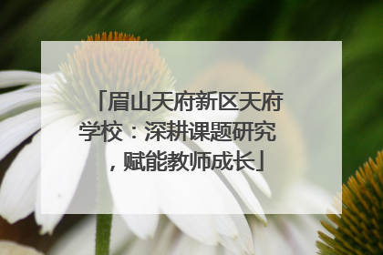 眉山天府新区天府学校：深耕课题研究，赋能教师成长