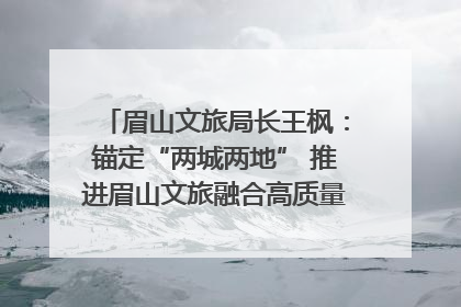 眉山文旅局长王枫：锚定“两城两地” 推进眉山文旅融合高质量发展｜文旅局长说