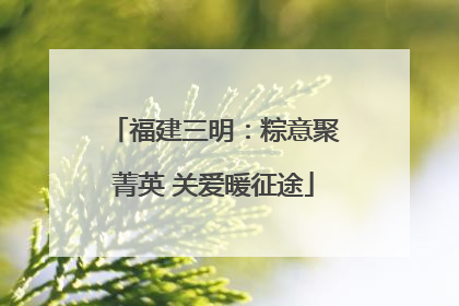 福建三明：粽意聚菁英 关爱暖征途