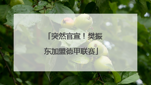 突然官宣！樊振东加盟德甲联赛