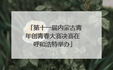 第十一届内蒙古青年创青春大赛决赛在呼和浩特举办