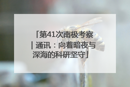 第41次南极考察｜通讯：向着暗夜与深海的科研坚守
