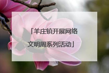 羊庄镇开展网络文明周系列活动