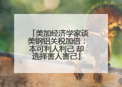 美加经济学家谈美钢铝关税加倍：本可利人利己 却选择害人害己