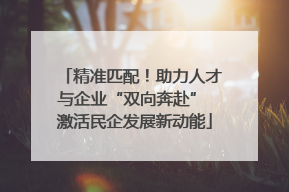 精准匹配！助力人才与企业“双向奔赴” 激活民企发展新动能