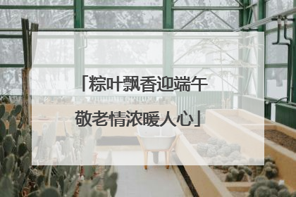 粽叶飘香迎端午 敬老情浓暖人心