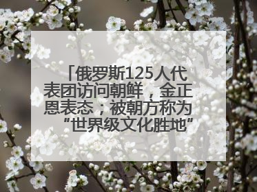 俄罗斯125人代表团访问朝鲜，金正恩表态；被朝方称为“世界级文化胜地”的旅游区，将首次接待俄游客
