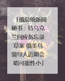 俄总统新闻秘书：待乌克兰回应备忘录草案 俄美乌领导人近期会晤可能性小