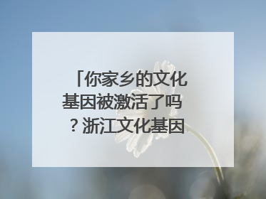 你家乡的文化基因被激活了吗？浙江文化基因图谱即将上线