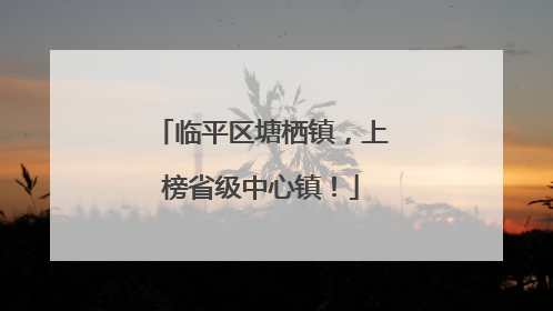 临平区塘栖镇，上榜省级中心镇！