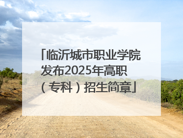 临沂城市职业学院发布2025年高职（专科）招生简章