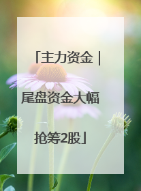 主力资金｜尾盘资金大幅抢筹2股
