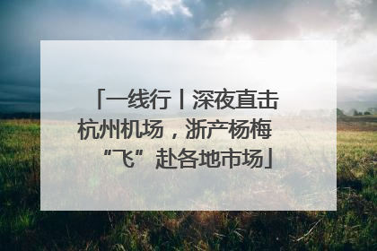 一线行丨深夜直击杭州机场，浙产杨梅“飞”赴各地市场