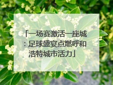 一场赛激活一座城：足球盛宴点燃呼和浩特城市活力