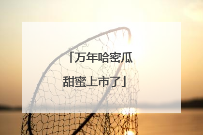 万年哈密瓜甜蜜上市了