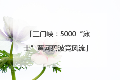 三门峡：5000“泳士”黄河碧波竞风流