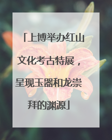 上博举办红山文化考古特展，呈现玉器和龙崇拜的渊源