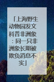 上海野生动物园发文科普非洲象：同一只非洲象长期被欺负消息不实
