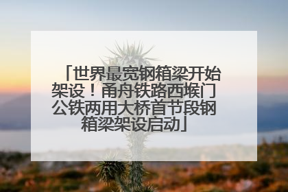 世界最宽钢箱梁开始架设！甬舟铁路西堠门公铁两用大桥首节段钢箱梁架设启动