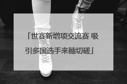 世赛新增项交流赛 吸引多国选手来穗切磋