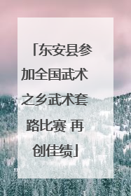 东安县参加全国武术之乡武术套路比赛 再创佳绩