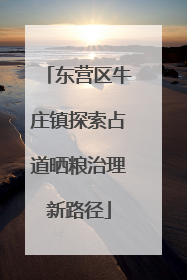 东营区牛庄镇探索占道晒粮治理新路径