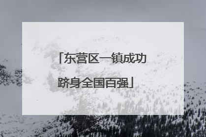 东营区一镇成功跻身全国百强